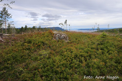Fagberget