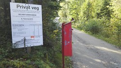 Vidalen