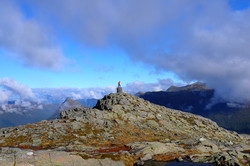 Løsethornet