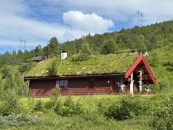 Venjesdalsbu