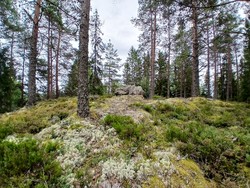 Nesbu Høgåsen