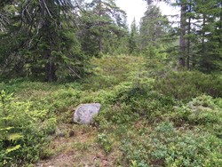 Rådalshøgda Vest