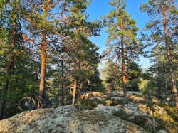 Fossnesåsen