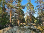 Fossnesåsen