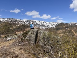 Juanuten
