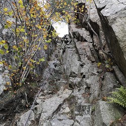 Kolsås klyving øst