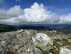 Surtebergflaget