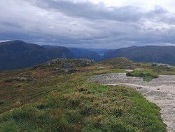 Selstadheia