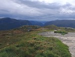 Selstadheia