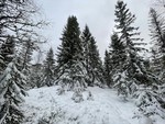 Kleggemyråsen