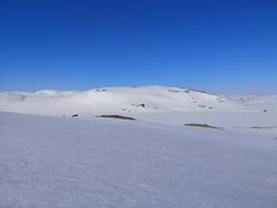 Langvassnuten