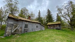 Lefætten