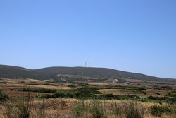 Vigla