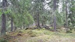 Sør for Abbor-Akksjøen