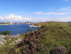 Litlemulen