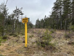 Riksrøys Kb