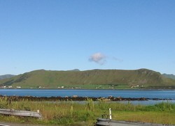 Hornsheia