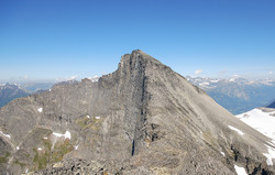 Kalknebba