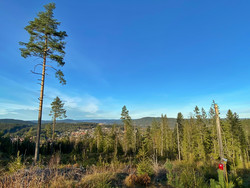 Skysethøgda
