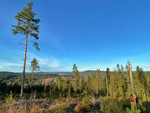 Skysethøgda
