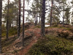 Ballatjernåsen