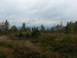 Gyriåsen