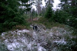 Steinarseteråsen