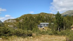Fuglehaugen