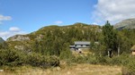 Fuglehaugen