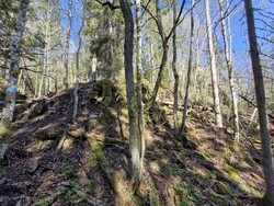 Grosetkollen