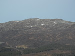 Svånuten