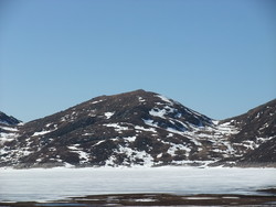 Skurvane