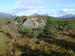 Vågøya