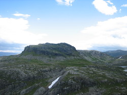 Blånut