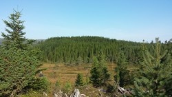 Sletthaugen