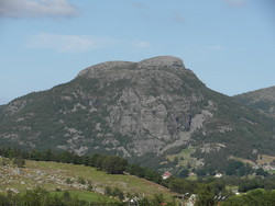 Kjølleknuten
