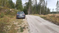Steinhard P-plass
