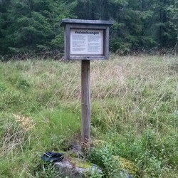 Vesleaskvangen