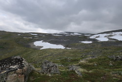 Bårdshøgdi