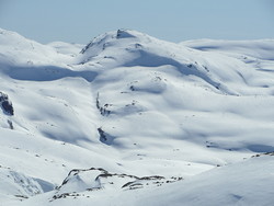 Vetlekaldenuten