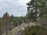 Høgåsen