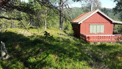 Hoemseterhaugen