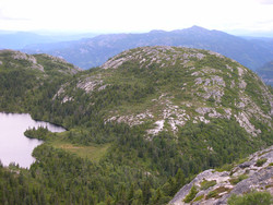Venelinuten