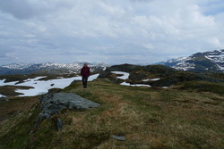 Flæfjellet