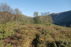 Lauvåsen