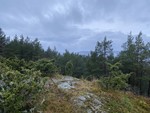 Sneisåsen