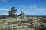 Bingtjernknatten
