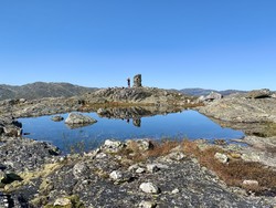 Skurvenuten