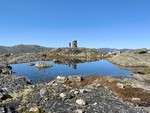 Skurvenuten