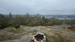 Sjåen